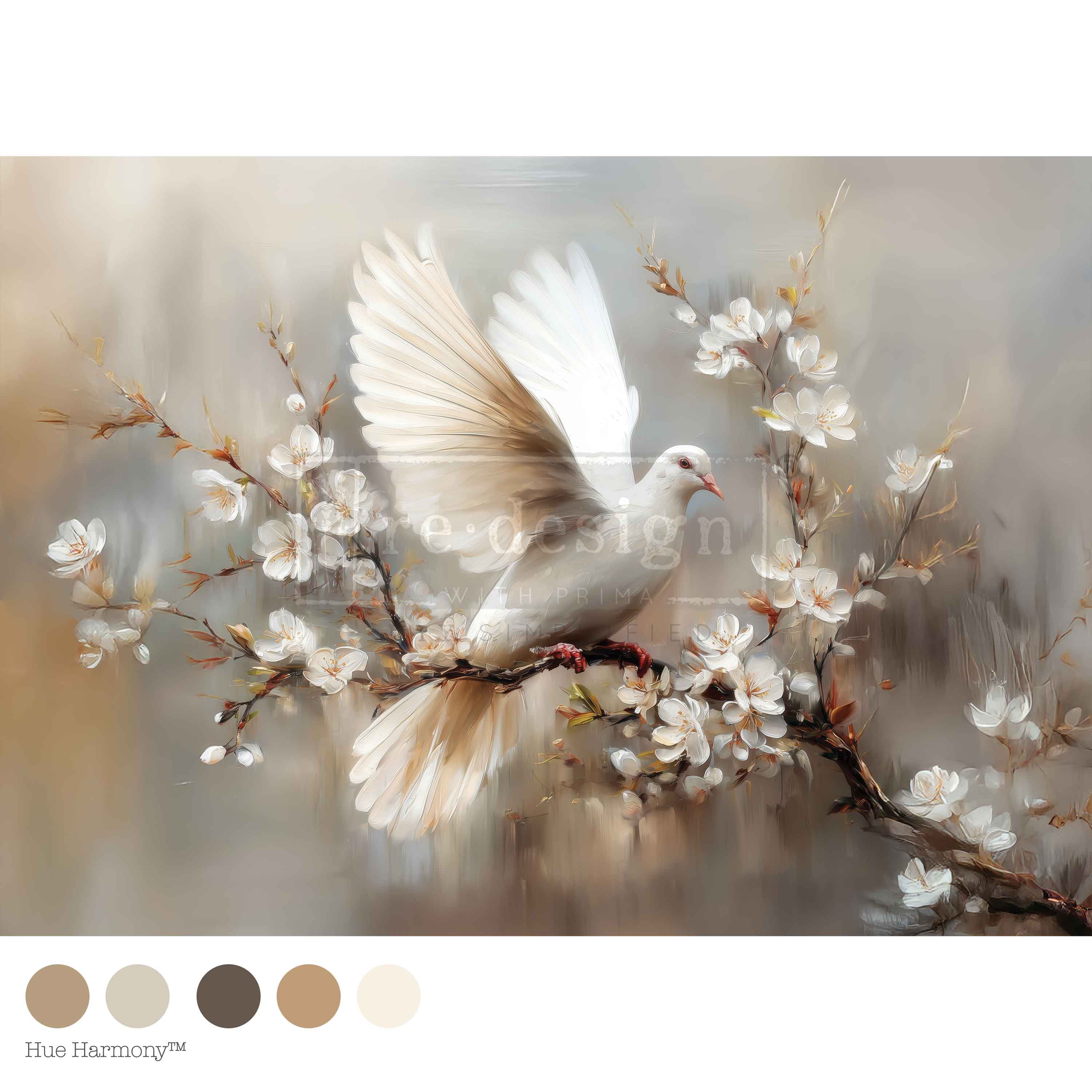 White dove with spread wings perched on a blooming branch with white flowers.