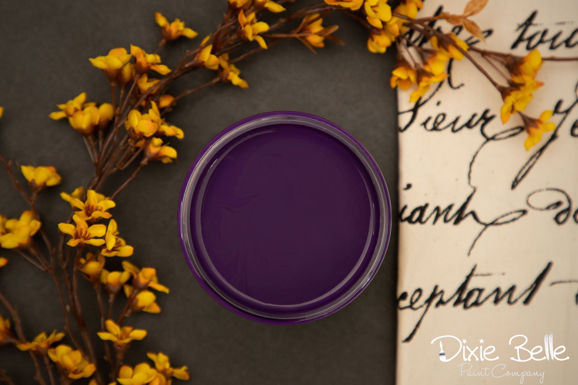 Dark Purple Dixie Bell Amethyst Chalk Paint