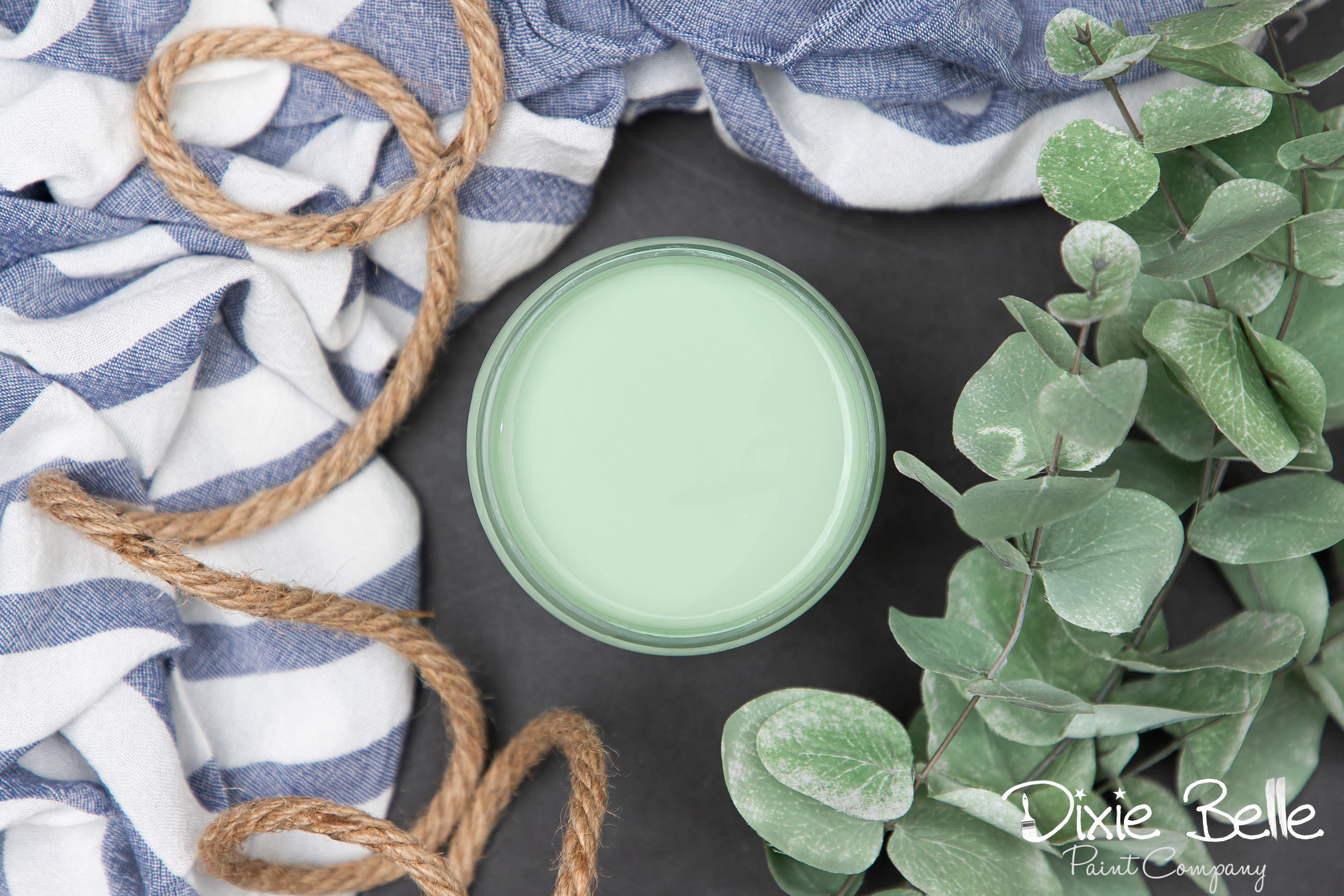 Dixie Belle Chalk Mineral Paint - Mint Julep