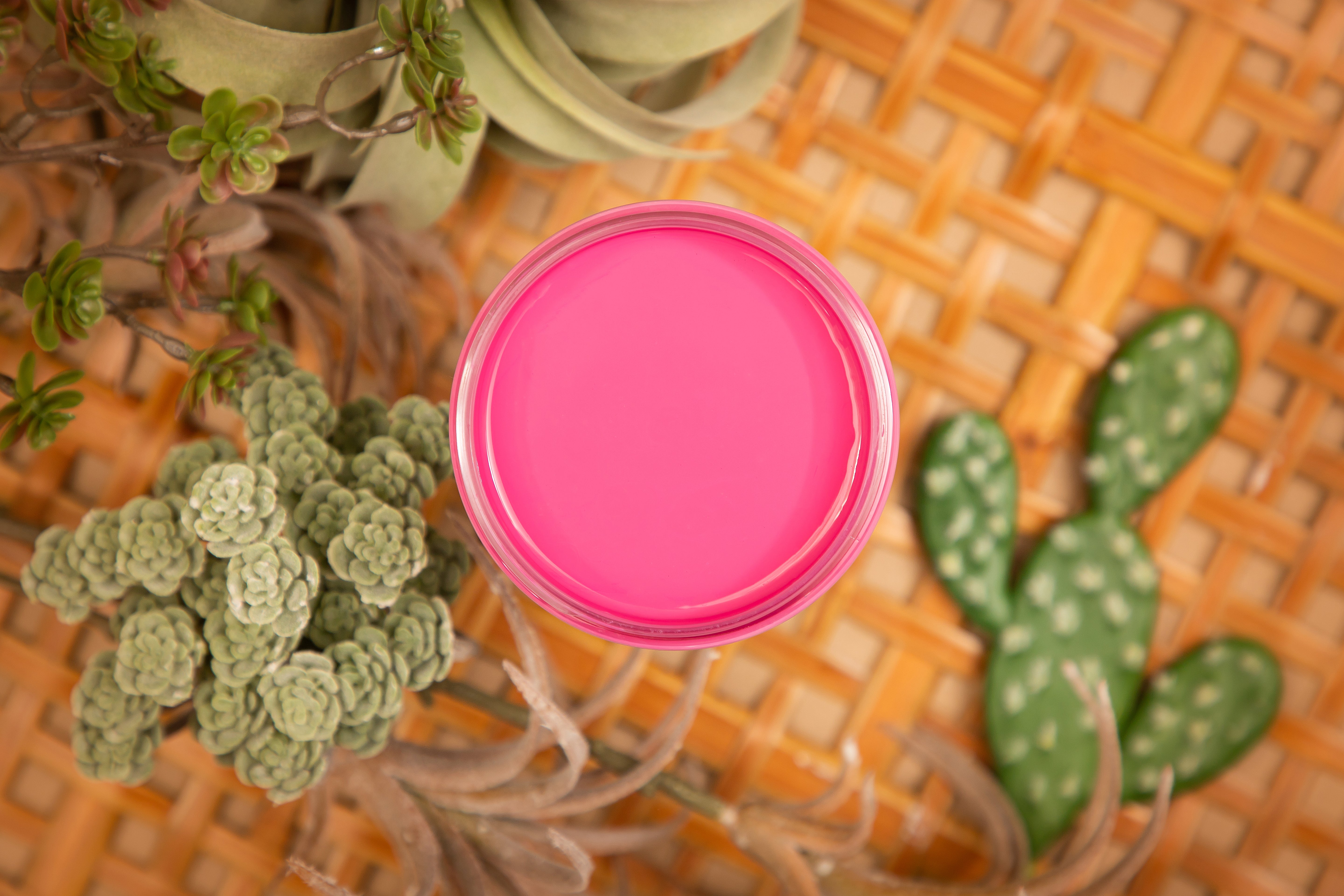 Dixie Belle Silk All-In-One Mineral Paint - Prickly Pear