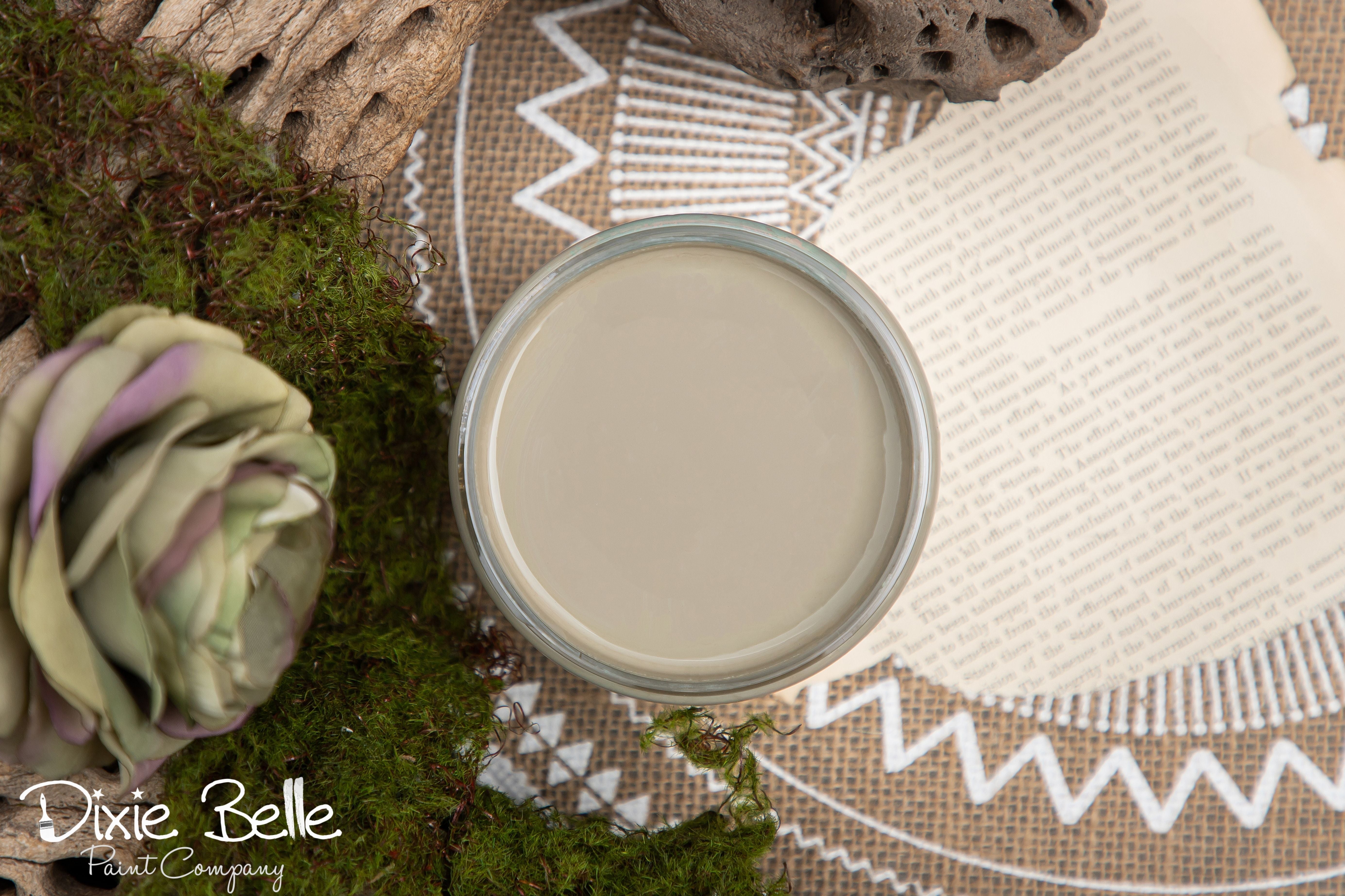 Dixie Belle Chalk Mineral Paint - Spanish Moss